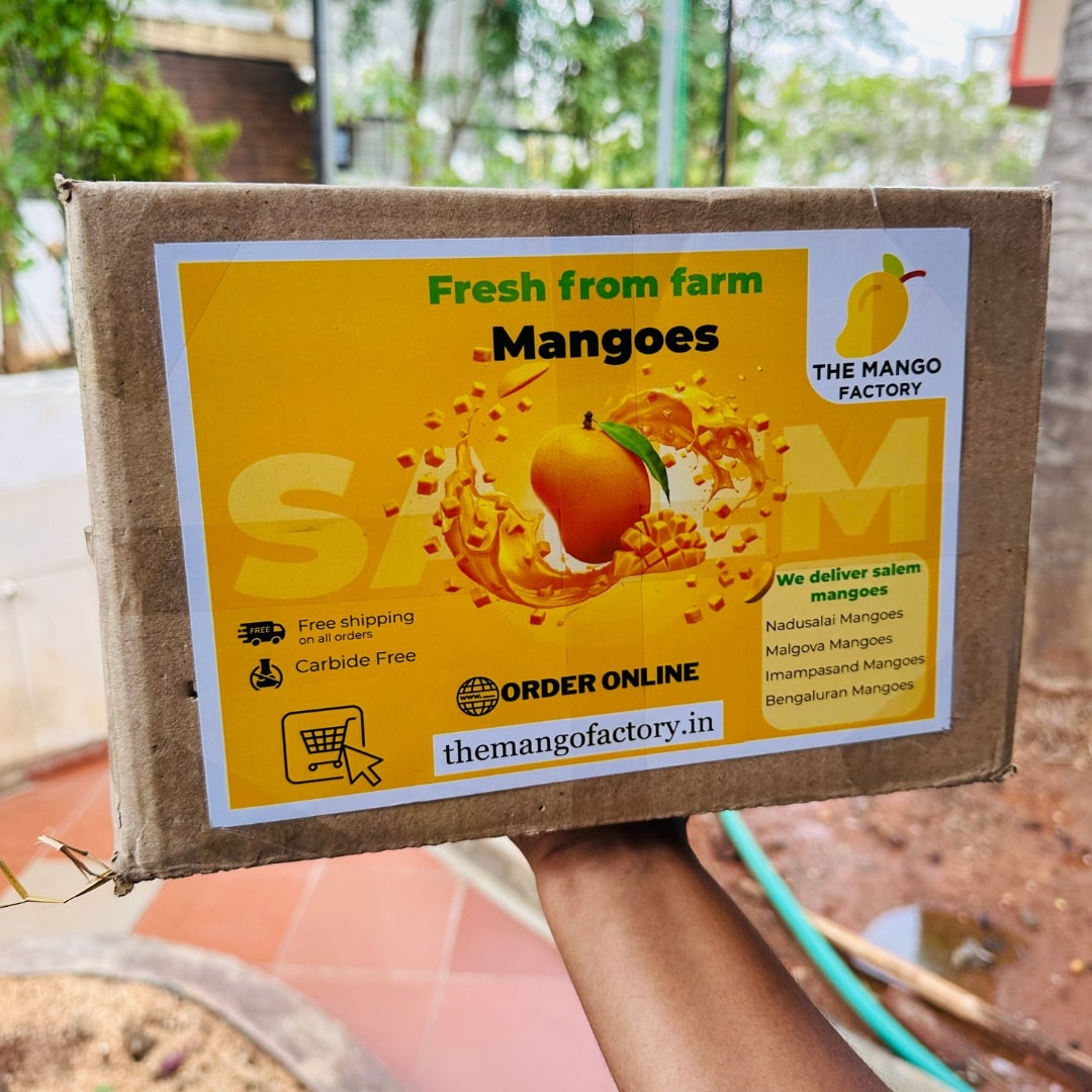 Salem Mangoes 5kg